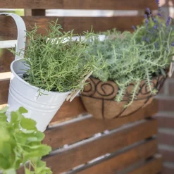 Pflanzgefäße*SIENA GARDEN Blumentopf 2er Set inklusive Halter