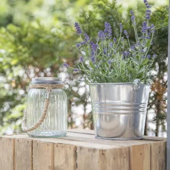 Pflanzgefäße*SIENA GARDEN Eimer mit Ösenhenkel 1,5l