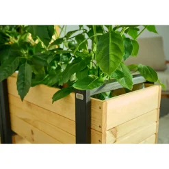 Pflanzgefäße*SIENA GARDEN Kelly Pflanzkasten Kiefer FSC® 100%