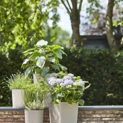 Pflanzgefäße*SIENA GARDEN Locon Groove Blumentopf