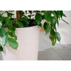 Pflanzgefäße*SIENA GARDEN Locon Groove Blumentopf
