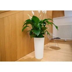 Pflanzgefäße*SIENA GARDEN Locon Stripe Blumentopf