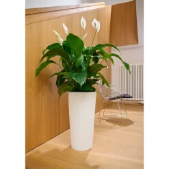 Pflanzgefäße*SIENA GARDEN Locon Stripe Blumentopf