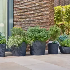 Pflanzgefäße*SIENA GARDEN Madrid Pflanzkübel