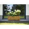 Pflanzgefäße*SIENA GARDEN Oskar Pflanzkasten Kiefer FSC® 100%